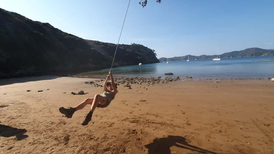 Waiheke Island: Gulf Marine Park Sailing Adventure & Lunch - Who should book this (and who might skip it)