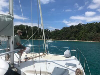 Waiheke Island: Gulf Marine Park Sailing Adventure & Lunch - The boat and the sailing vibe on a 41-foot catamaran