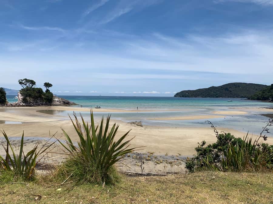 Waiheke Island: Gulf Marine Park Sailing Adventure & Lunch - The lunch onboard: a practical reason this trip is worth it
