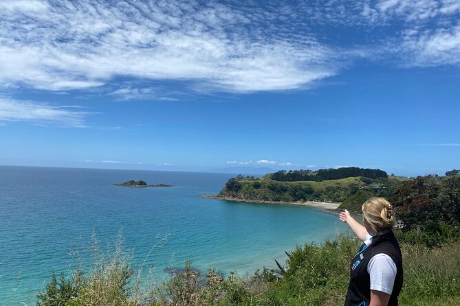 Waiheke Island Half Day Scenic Wine and Lunch - Price and what you actually get for $170.66
