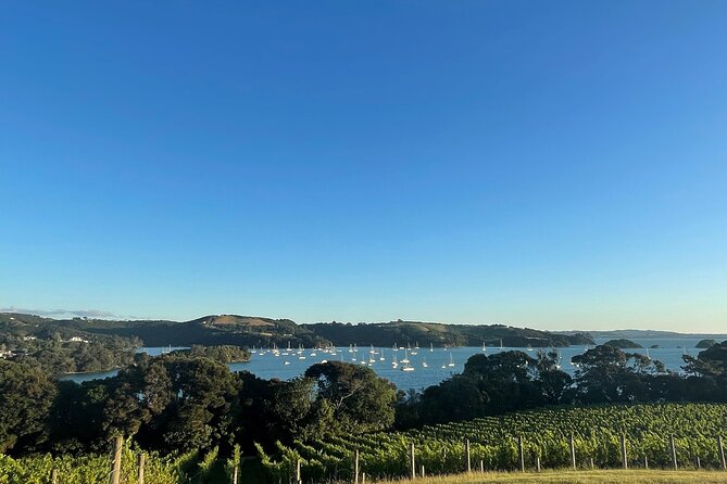 Waiheke Island Half Day Scenic Wine and Lunch - Lunch and wine at Goldie Estate or Stonyridge: the main event