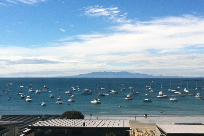 Waiheke Island Half Day Scenic Wine and Lunch - Final vineyard viewpoint: Hauraki Gulf views and optional dinner