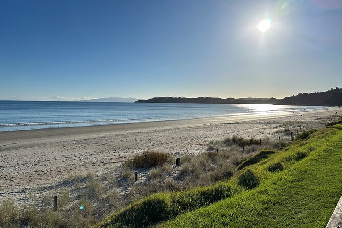 Waiheke Island Half Day Scenic Wine and Lunch - What the best guides do for this tour (and why it matters)