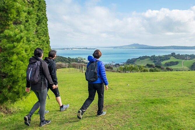 Waiheke Island History and Heritage Tour - Native bush walk: medicinal plants and real learning time