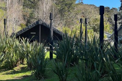 Waiheke Island History and Heritage Tour - Oneroa as your practical base (and where the day can pivot)