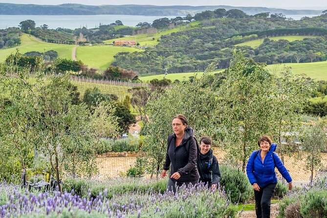 Waiheke Island History and Heritage Tour - Lunch, coffee, and optional extras (wine and olive oil)