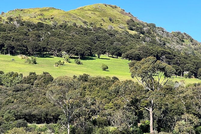 Waiheke Island History and Heritage Tour - Price and value: what you’re paying for on Waiheke