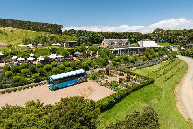 Waiheke Island Hop-On Hop-Off Explorer Bus - Hourly Loop Reality: How Long You’ll Really Spend