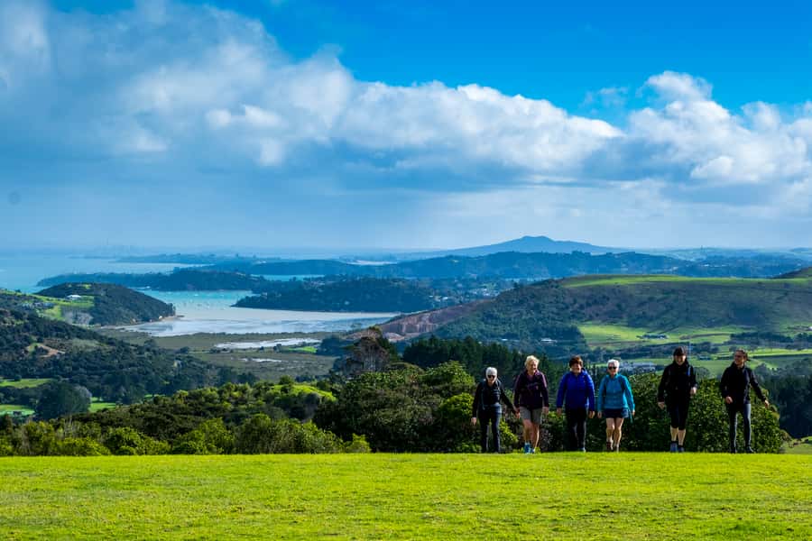 Waiheke Island: Premium Vineyard, Wine Tasting and Bush Walk - Key things to know before you go