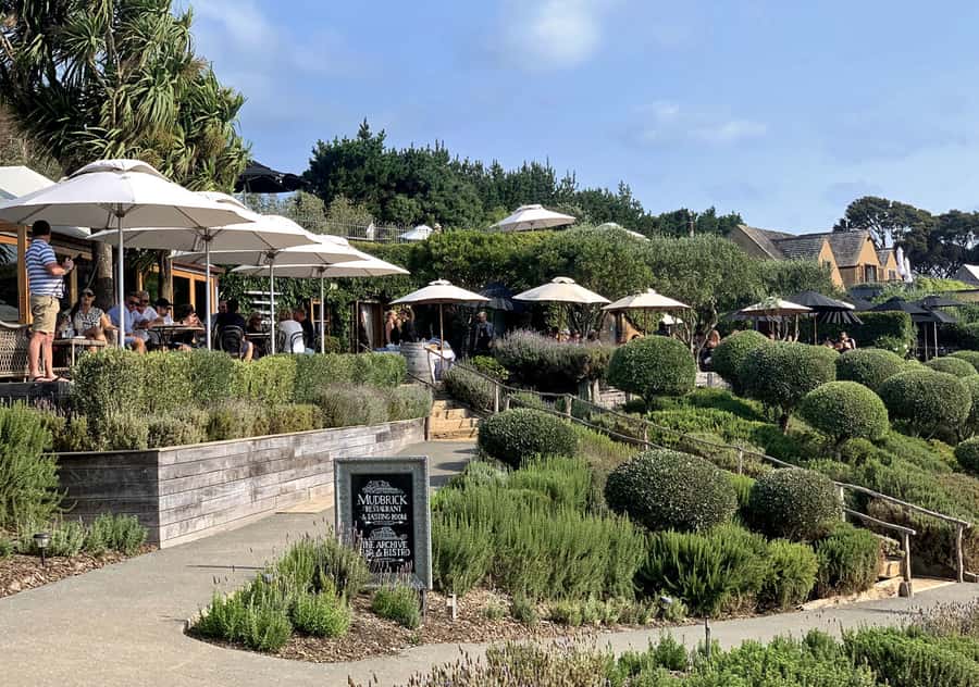 Waiheke Island: Premium Vineyard, Wine Tasting and Bush Walk - The Views Between Stops: When the Walk Feels Like a Moving Viewpoint