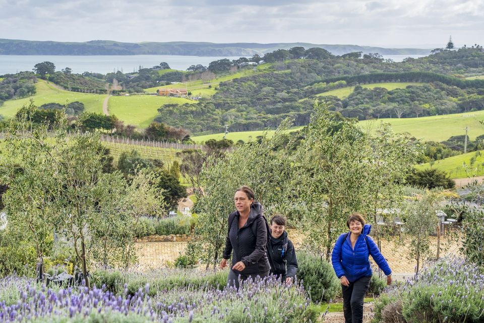 Waiheke Island: Premium Vineyard, Wine Tasting and Bush Walk - Your Guide Matters: Expert Local Storytelling on Waiheke