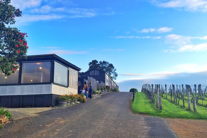 Waiheke Island Premium Wine Tour with Tastings - Waiheke Island in One Day: What This 6-Hour Tour Really Gives You