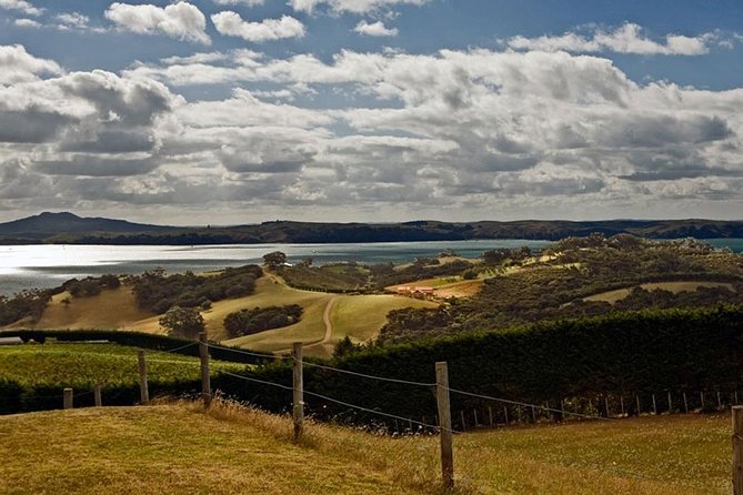 Waiheke Island Private Art Tour - Stop 3: Sue Engels shoemaker—comfort plus craftsmanship