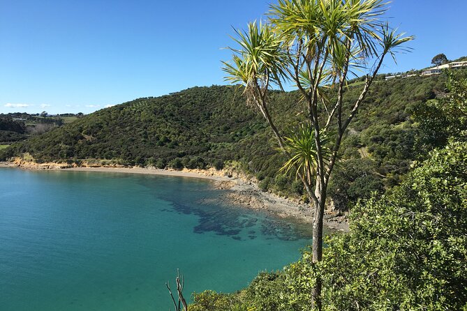 Waiheke Island Private Double Headland Walk - Southern route: Pio Rehutai Reserve, Church Bay, and sculpture stops
