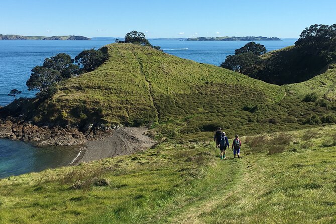 Waiheke Island Private Double Headland Walk - Logistics that matter: transfers, what’s included, and what isn’t