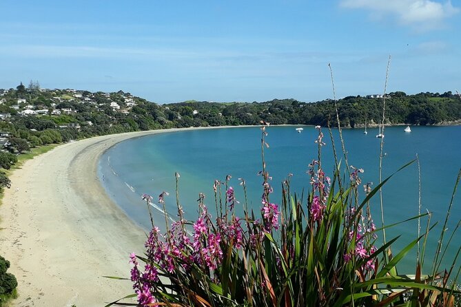 Waiheke Island Private Tours - How a 4-hour private day actually feels on Waiheke