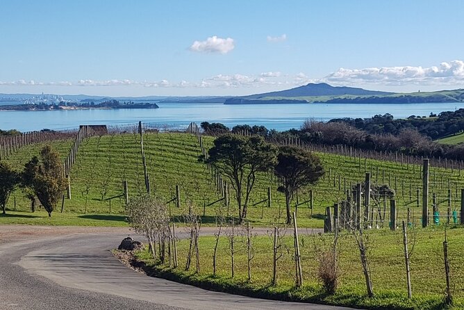 Waiheke Island Private Tours - Art and food: how to build a day beyond wine