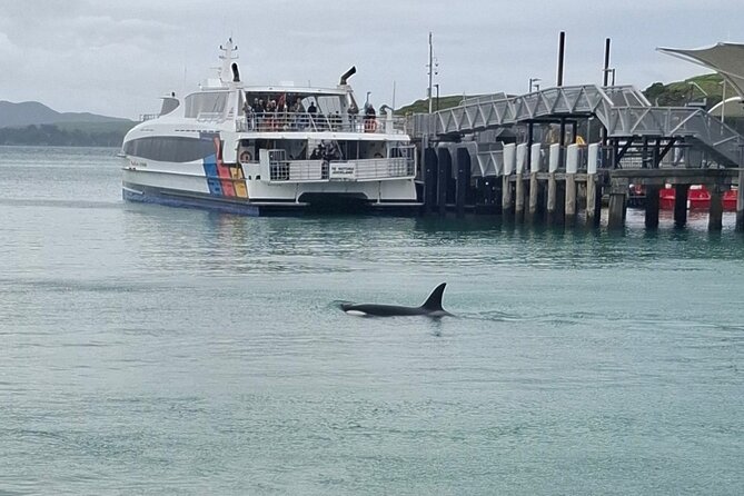 Waiheke Island Private Tours - Meet Briar: 20 years of Waiheke plus jazz on the road