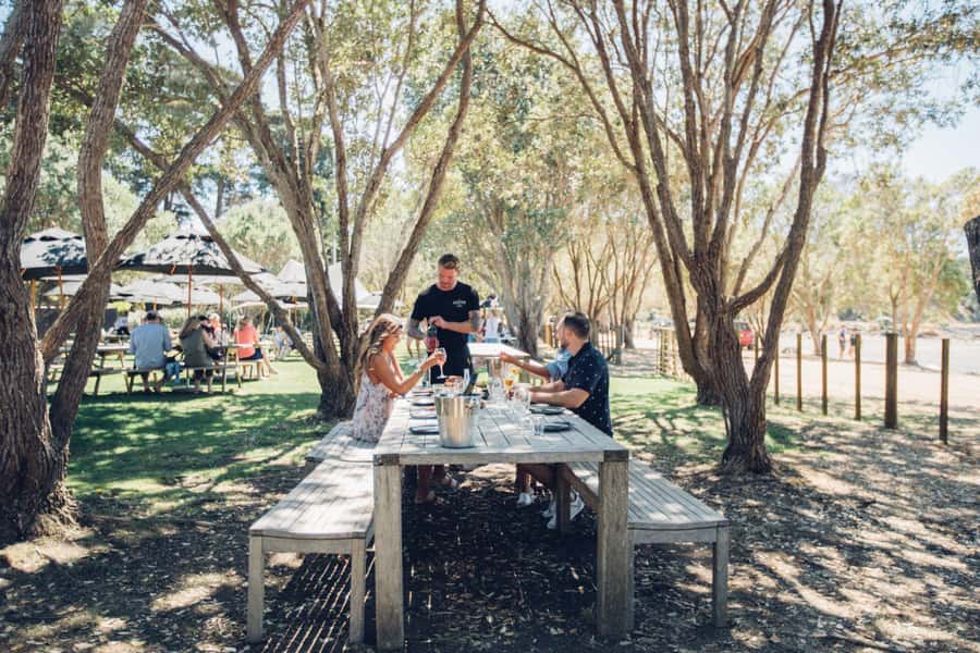 Waiheke Island: Scenic Island Wine Tour & Local Wine Tasting - Who this Waiheke wine tour fits best