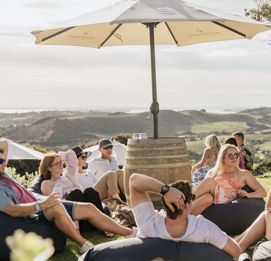 Waiheke Island: Scenic Island Wine Tour & Local Wine Tasting - Waiheke Island wine country, planned for your limited time