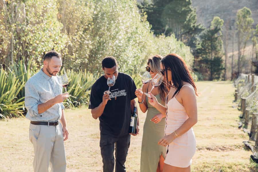 Waiheke Island: Scenic Island Wine Tour & Local Wine Tasting - How the day flows: Matiatia pickup to Waiheke drop-off