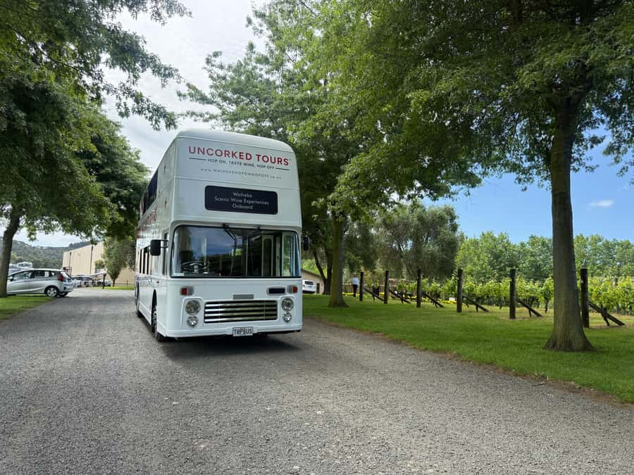 Waiheke Island: Scenic Wine Tour on Double Decker Bus - Why Waiheke’s double-decker format is such a good idea