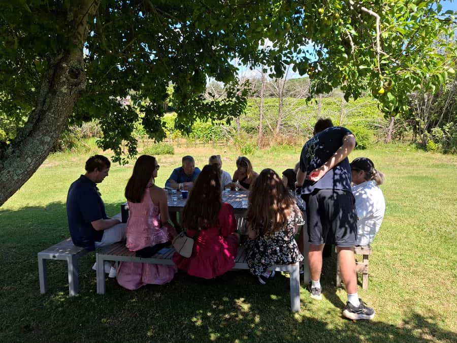 Waiheke Island: Sip and Savor 3 Vineyards Tour with Lunch - Vineyard stop one: your 45-minute opener