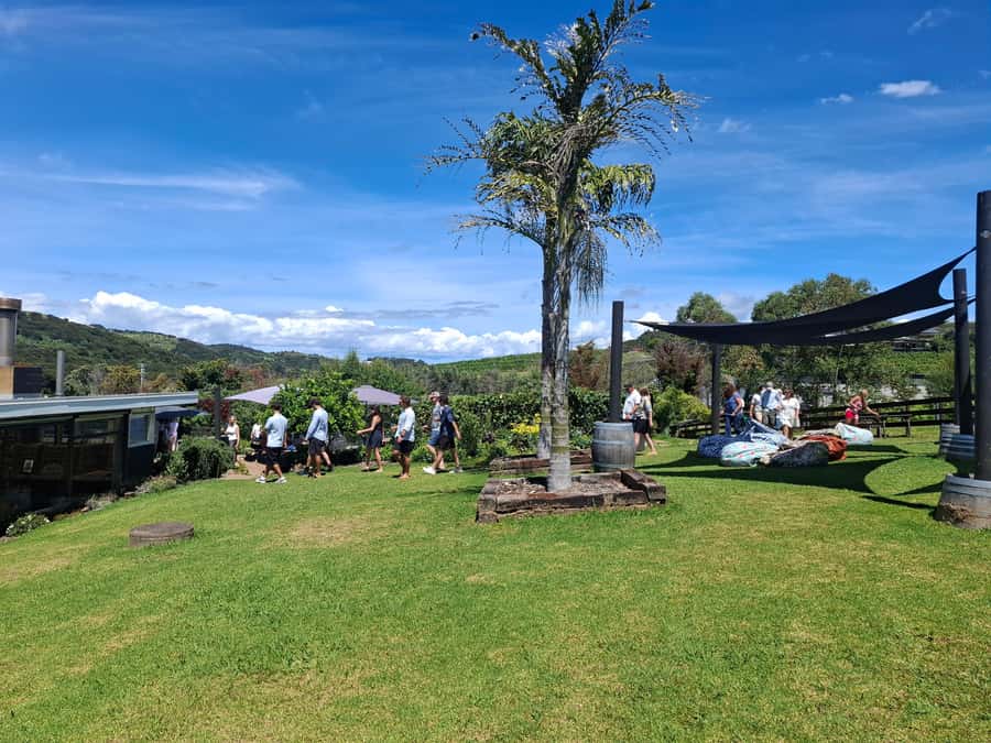 Waiheke Island: Sip and Savor 3 Vineyards Tour with Lunch - The van experience: small group, local guide, real stories