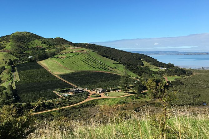 Waiheke Island Vineyards and Bush Walk - Key highlights you’ll feel on the day