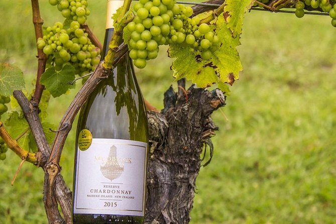 Waiheke Island Vineyards and Bush Walk - Lunch choices and extra tastings: budgeting without ruining the day