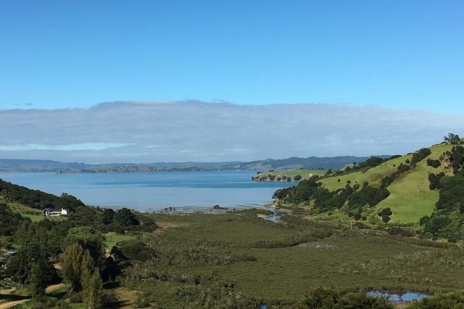 Waiheke Island Vineyards and Bush Walk - Small-group pacing (max 12): who this walk suits best