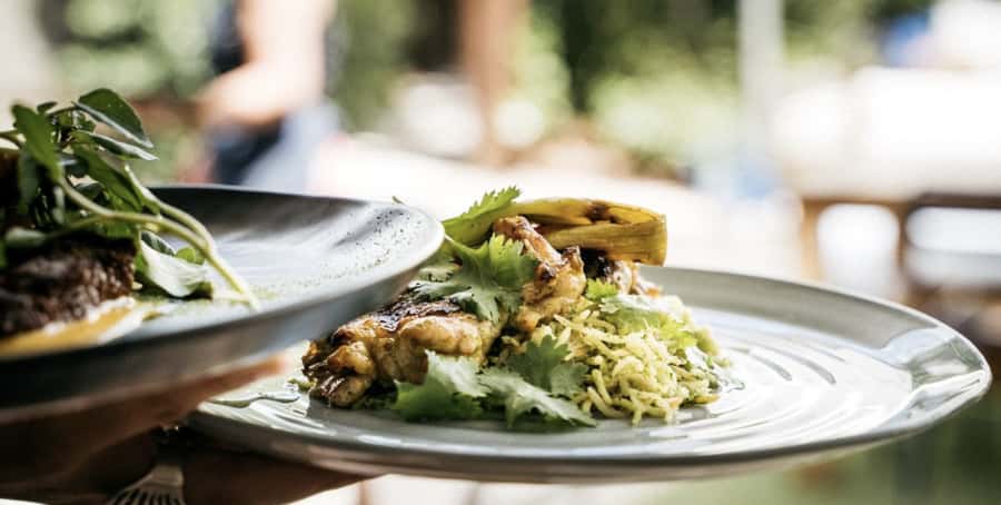Waiheke Island: Wine Tour & Lunch at Award Winning Venue - Key highlights worth penciling in