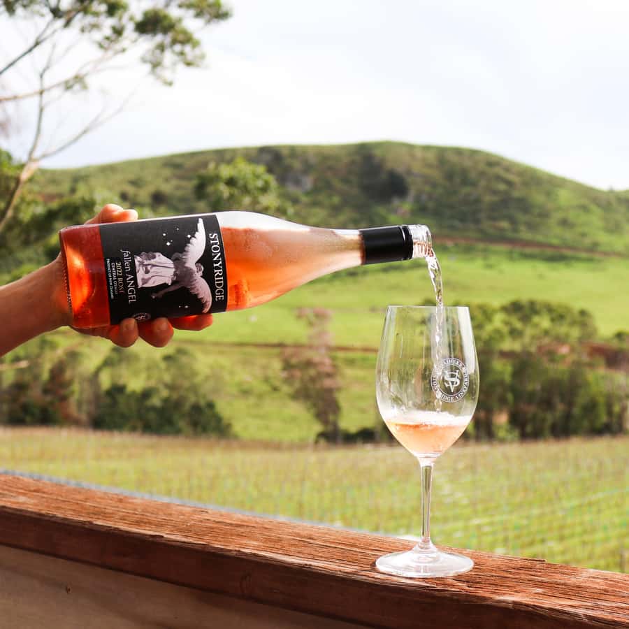 Waiheke Island: Wine Tour & Lunch at Award Winning Venue - Three vineyards in one day: what you’ll actually taste