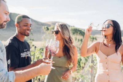 Waiheke Island: Wine Tour & Lunch at Award Winning Venue - The guide makes the island feel smaller (and smarter)