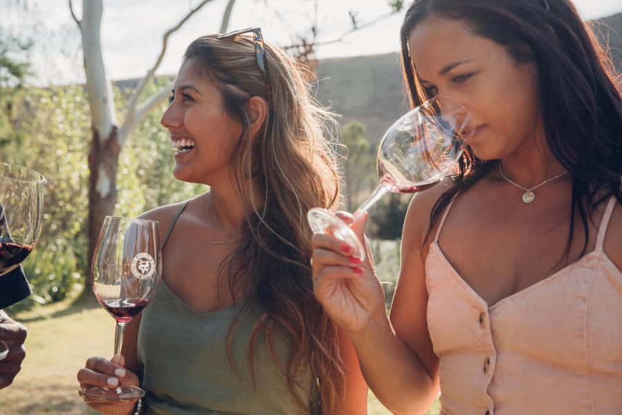 Waiheke Island: Wine Tour & Lunch at Award Winning Venue - Timing, ferries, and the smartest way to plan your day