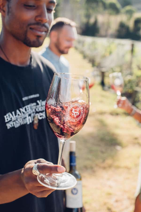 Waiheke Island: Wine Tour & Lunch at Award Winning Venue - Who this tour suits best (and who might want a different plan)