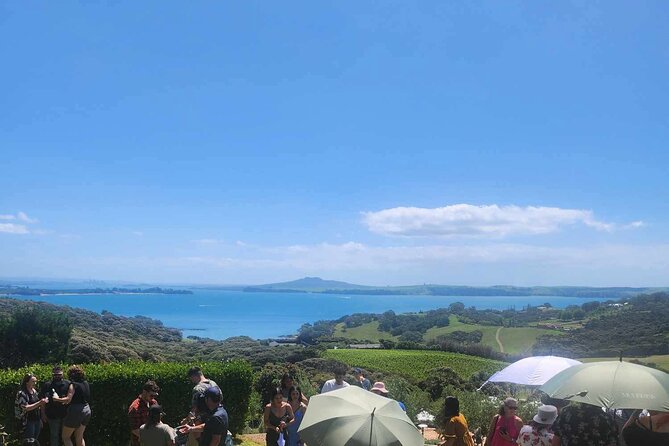 Waiheke Island Wine Tour with Tastings & Gourmet Beachfront Lunch - Key highlights you’ll feel fast