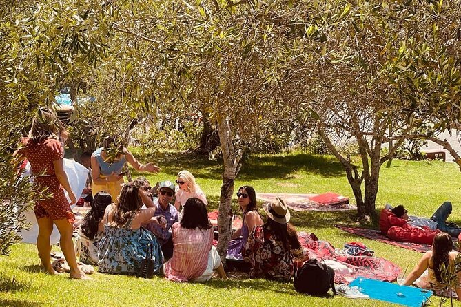 Waiheke Island Wine Tour with Tastings & Gourmet Beachfront Lunch - Waiheke’s sweet spot: why this half-day tour works