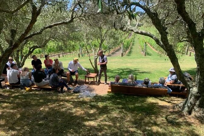 Waiheke Island Wine Tour with Tastings & Gourmet Beachfront Lunch - Stop 2: Three Seven Two lunch on Onetangi Beach