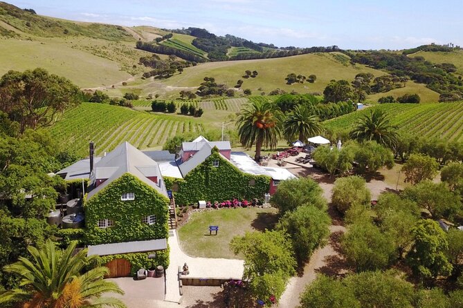 Waiheke Island Wine Tour with Tastings & Gourmet Beachfront Lunch - The drive time: scenery + commentary, not just sitting in a van