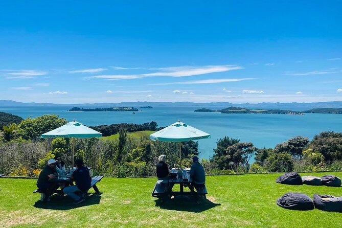Waiheke Island Wine Tour with Tastings & Gourmet Beachfront Lunch - Timing reality check: plan around the ferry