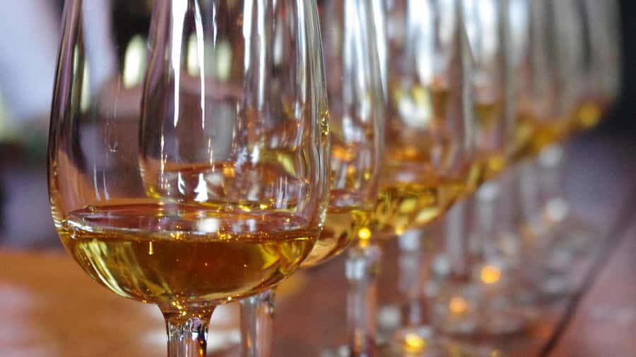 Waiheke Island Wine Tours - PREMIUM Wines - Max 11 clients ! - Key things that make this tour worth a look