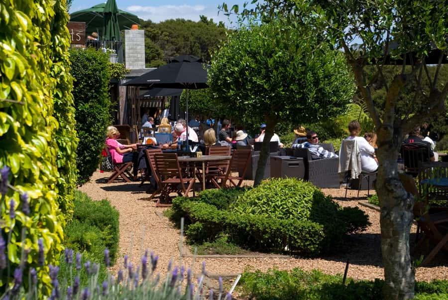 Waiheke Island Wine Tours - PREMIUM Wines - Max 11 clients ! - The 6-hour flow: scenic drive, tastings, and an unhurried lunch