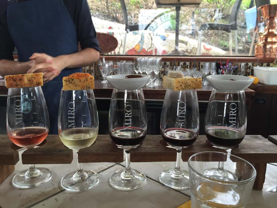 Waiheke Island Wine Tours - PREMIUM Wines - Max 11 clients ! - Ferry timing and how pickup really works