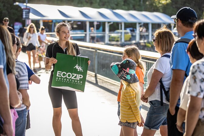 Waiheke Island: Zipline And Forest Walk - Getting There From Auckland (And Why Timing Matters)