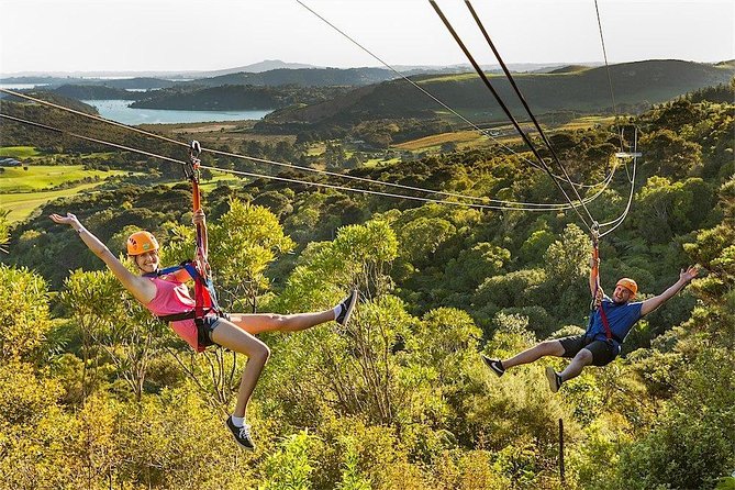 Waiheke Island: Zipline And Forest Walk - The Zipline Circuit: Three Runs Over Vineyard, Valley, and Native Forest