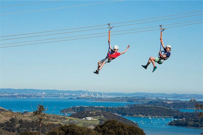 Waiheke Island: Zipline And Forest Walk - What the Native Forest Walk Really Feels Like