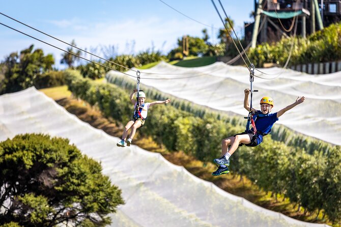 Waiheke Island: Zipline And Forest Walk - Included Value: What You’re Actually Paying For