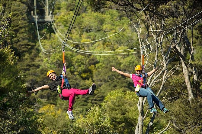 Waiheke Island: Zipline And Forest Walk - Weather, Clothing, and Fitness: Keep It Simple