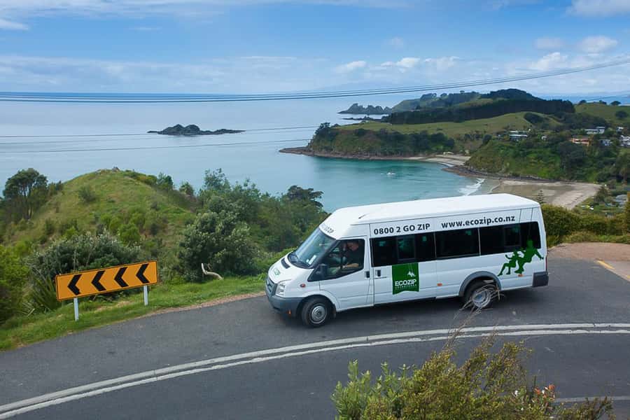 Waiheke Island: Zipline and Native Forest Adventure Trip - Key highlights worth getting excited about